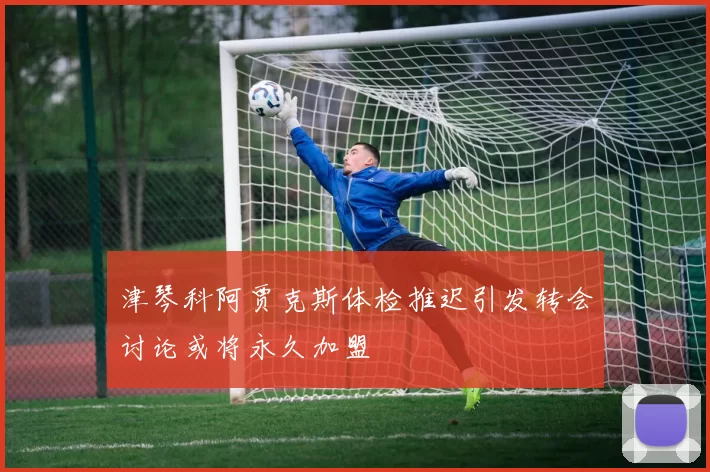 津琴科阿贾克斯体检推迟引发转会讨论或将永久加盟